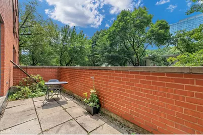 1115 S Plymouth Court #113, Chicago, IL 60605 - Photo 25