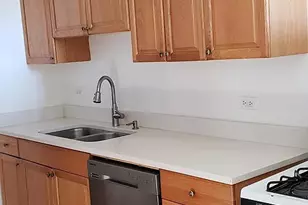 2114 N California Ave, Chicago, IL 60647 - Photo 19