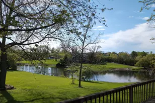 20450 N Meadow Ln, Deer Park, IL 60010 - Photo 11