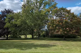 20450 N Meadow Ln, Deer Park, IL 60010 - Photo 13
