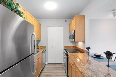 400 N La Salle Drive #3306, Chicago, IL 60654 - Photo 7