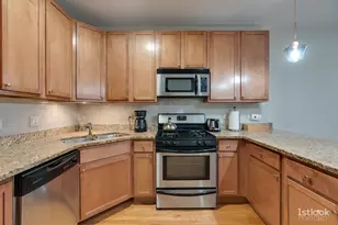1618 S Halsted St, Chicago, IL 60608 - Photo 9
