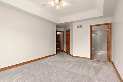 16733 Summercrest Avenue, Orland Park, IL 60467 - Photo 21