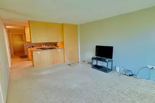 9655 Woods Dr, Skokie, IL 60077 - Photo 9