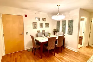 9725 Woods Dr, Skokie, IL 60077 - Photo 5