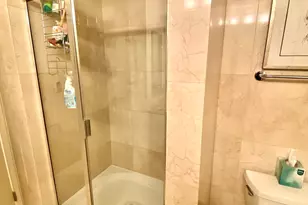 9725 Woods Dr, Skokie, IL 60077 - Photo 15