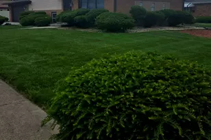 15643 Gouwens Ln, South Holland, IL 60473 - Photo 3