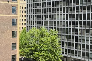 880 N Lake Shore Dr, Chicago, IL 60611 - Photo 9