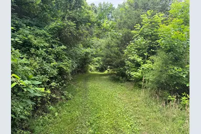 1669 US Highway 45 Highway, Cisne, IL 62823 - Photo 39