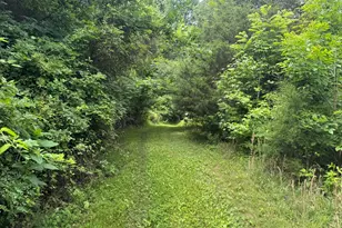 1669 US Hwy 45 Hwy, Cisne, IL 62823 - Photo 39