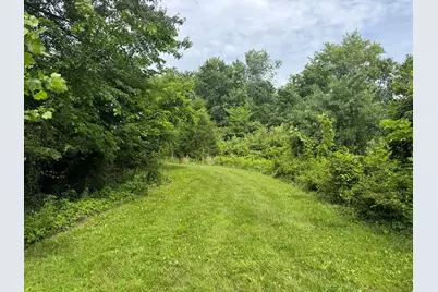 1669 US Highway 45 Highway, Cisne, IL 62823 - Photo 37
