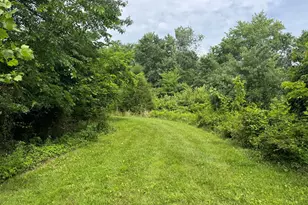 1669 US Hwy 45 Hwy, Cisne, IL 62823 - Photo 37