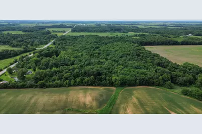 1669 US Highway 45 Highway, Cisne, IL 62823 - Photo 47