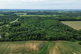 1669 US Hwy 45 Hwy, Cisne, IL 62823 - Photo 47