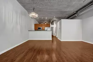 1111 W 14th Pl, Chicago, IL 60608 - Photo 11