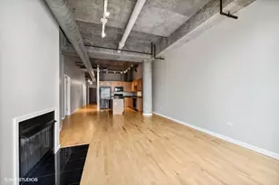 125 E 13th St, Chicago, IL 60605 - Photo 5