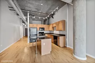 125 E 13th St, Chicago, IL 60605 - Photo 3