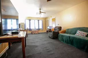 411 E Lincoln St, Mount Morris, IL 61054 - Photo 3