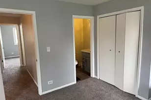 869 White Oak Ln, University Park, IL 60484 - Photo 17