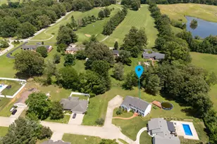 22 Cherry Tree Pl, Harrisburg, IL 62946 - Photo 51