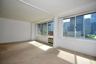 211 E Ohio St, Chicago, IL 60611 - Photo 19