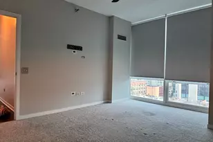 757 N Orleans St, Chicago, IL 60654 - Photo 7