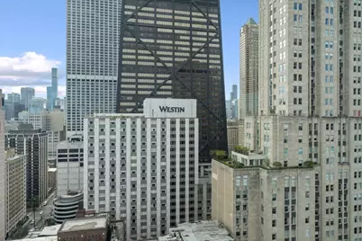 179 E Lake Shore Drive #25W, Chicago, IL 60611 - Photo 37