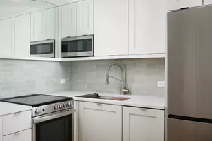 1460 N Sandburg Terrace, Chicago, IL 60610 - Photo 13