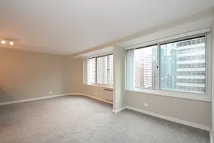 211 E Ohio St, Chicago, IL 60611 - Photo 3