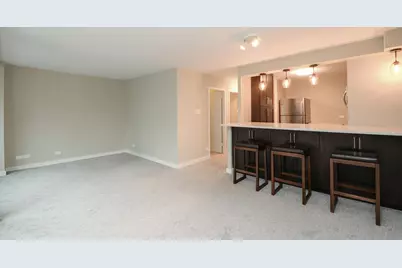 211 E Ohio Street #1406, Chicago, IL 60611 - Photo 5
