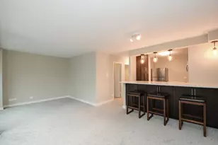 211 E Ohio St, Chicago, IL 60611 - Photo 5