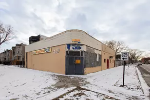 6604 S Rhodes Ave, Chicago, IL 60637 - Photo 1
