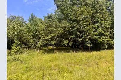 000 Shawnee Drive, Orangeville, IL 62939 - Photo 5