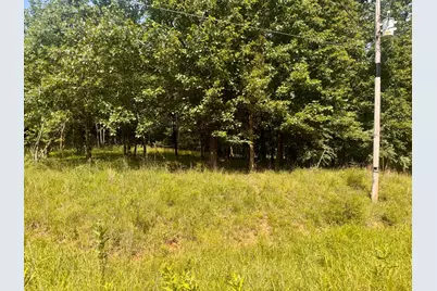 000 Shawnee Drive, Orangeville, IL 62939 - Photo 3