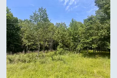 000 Shawnee Drive, Orangeville, IL 62939 - Photo 1