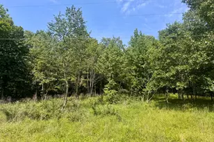 000 Shawnee Dr, Orangeville, IL 62939 - Photo 1