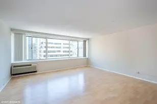 211 E Ohio St, Chicago, IL 60611 - Photo 7