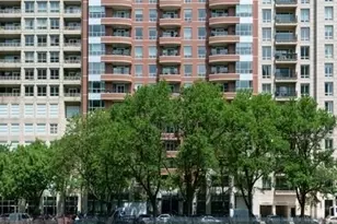 270 E Pearson St, Chicago, IL 60611 - Photo 29