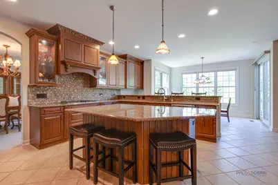 231 Cater Lane, Libertyville, IL 60048 - Photo 9