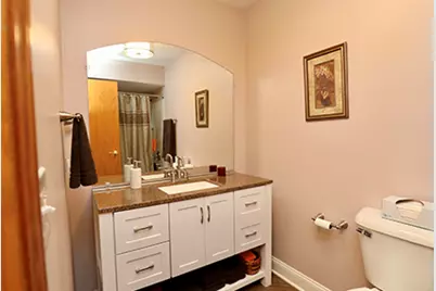 9 Honey Lane, New Lenox, IL 60451 - Photo 11
