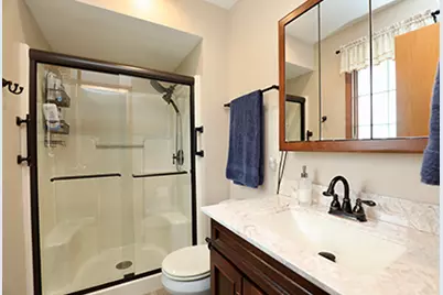 9 Honey Lane, New Lenox, IL 60451 - Photo 13