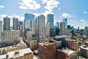 545 N Dearborn St, Chicago, IL 60654 - Photo 11