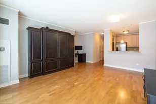 450 E Waterside Dr, Chicago, IL 60601 - Photo 3