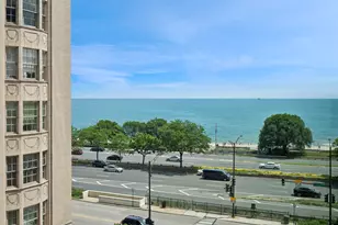 1150 N Lake Shore Dr, Chicago, IL 60611 - Photo 3