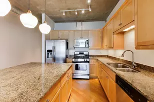125 E 13th St, Chicago, IL 60605 - Photo 9