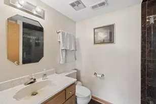 17218 Shetland Dr, Tinley Park, IL 60487 - Photo 23