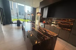 234 W Polk St, Chicago, IL 60607 - Photo 23