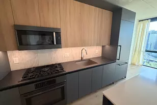 234 W Polk St, Chicago, IL 60607 - Photo 9