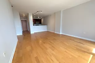 100 E 14th St, Chicago, IL 60605 - Photo 3