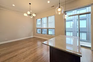 22 N Aberdeen St, Chicago, IL 60607 - Photo 3